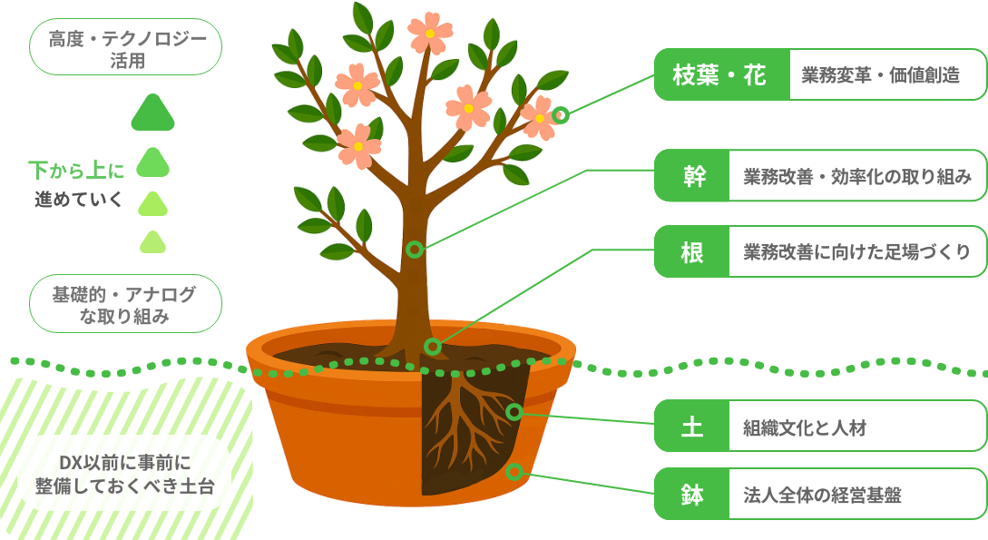 植木